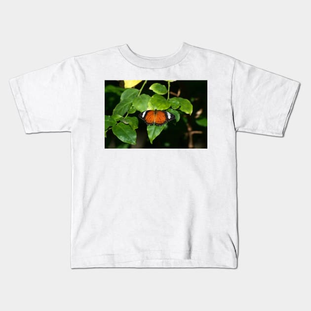 Monarch At Rest Kids T-Shirt by GP1746